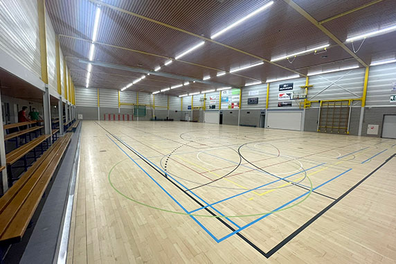 Monkey Moves BSO Nieuwegein